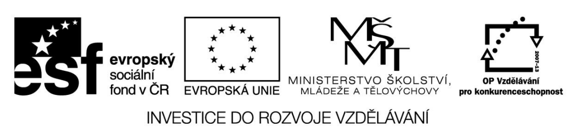 Vzdělávací program pro učitele – výchovné poradce